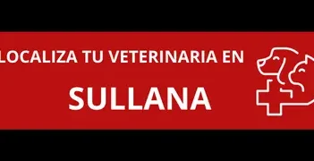 Centro Médico Veterinario Sullana 1 centro medico veterinario sullana