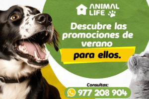 Centro Veterinario Animal Life