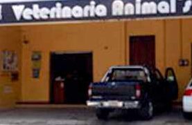 Clínica Veterinaria Animal’s