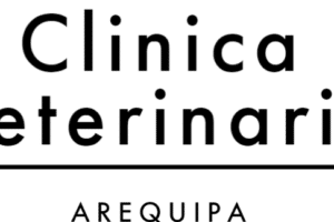 Clinica Veterinaria Arequipa