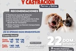 Clínica Veterinaria Canevet sede Lurín