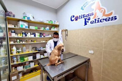 Clínica Veterinaria Dr Colitas 1 clinica veterinaria dr colitas