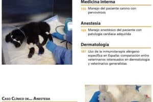 CLÍNICA VETERINARIA FORCE CAN VET