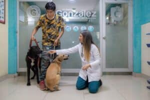 Clínica Veterinaria González