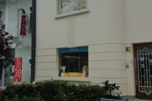 CLINICA VETERINARIA GROOMERS sede Jorge Chavez Miraflores