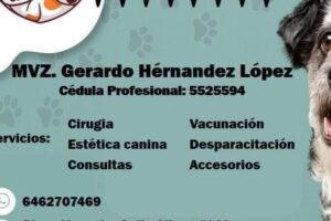 Clínica Veterinaria Hernández