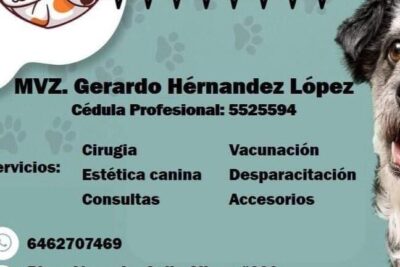 Clínica Veterinaria Hernández 1 clinica veterinaria hernandez