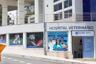 CLINICA VETERINARIA HOUSE VET 1 clinica veterinaria house vet