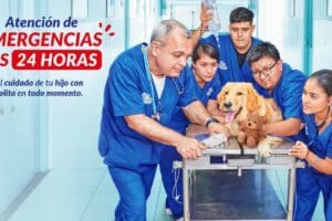 Clínica Veterinaria Mar Azul