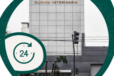 CLÍNICA VETERINARIA PANDA 1 clinica veterinaria panda
