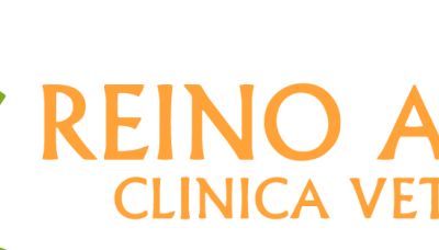 Clínica Veterinaria Reino Animal 1 clinica veterinaria reino animal