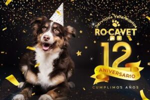 Clinica veterinaria Rocavet
