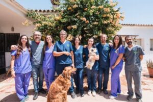 Clínica Veterinaria San Francisco de Asís