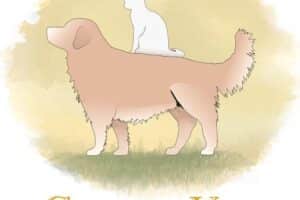 Clinica Veterinaria & Spa Goldenvet