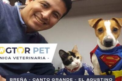 Clínicas Veterinarias en Breña, Lima: Encuentra la Mejor Atención para tus Mascotas 1 clinicas veterinarias en brena lima encuentra la mejor atencion para tus mascotas