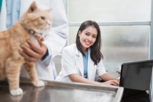 Clínicas Veterinarias en San Rafael, Perú: Encuentra la Mejor Atención para tus Mascotas