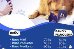 Clinivet Marsho – Servicio Spa Canino