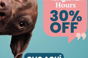 Cool Pets veterinaria – spa
