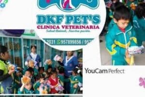 DKF PETS CLINICA VETERINARIA