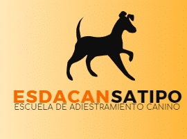 ESDACAN.SATIPO