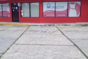 Hospital Veterinario City Can
