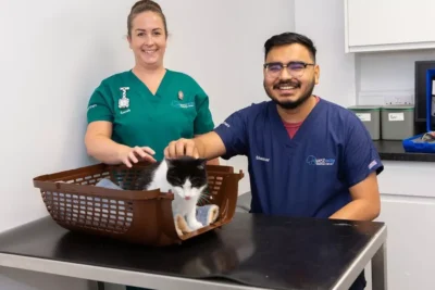 Jau's Smile Vet & Pet Shop 1 jaus smile vet pet shop