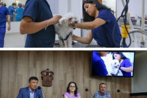 Jorge Cabrera Veterinario