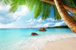 Paradise