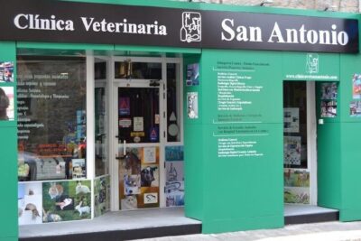 servicios veterinarios san antonio