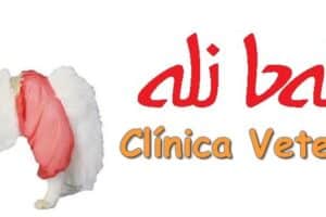 Veterinaria Ali Baba