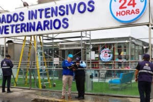 Veterinaria Animal Surco