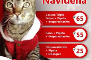 Veterinaria Asuncion Comas