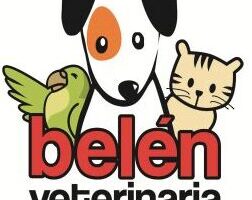 Veterinaria Belen