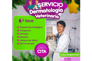 Veterinaria Blasvet Surco