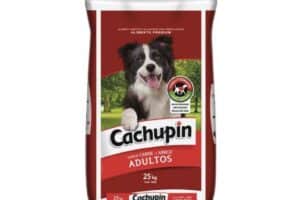 Veterinaria Cachupin