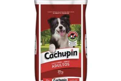 Veterinaria Cachupin 1 veterinaria cachupin
