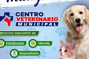 Veterinaria CamiVet Tacna
