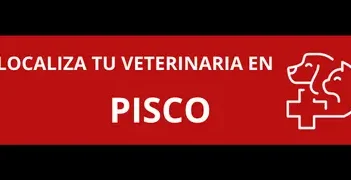 Veterinaria CHAQUI THANI 1 veterinaria chaqui thani