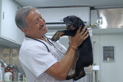 Veterinaria Cieneguilla 1 veterinaria cieneguilla