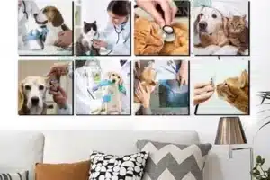 Veterinaria El Cuadro