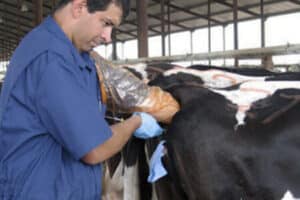 Veterinaria El Ganadero