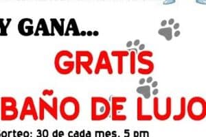 Veterinaria en San Miguel – Pets Sites