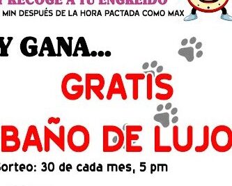 Veterinaria en San Miguel - Pets Sites 1 veterinaria en san miguel pets sites