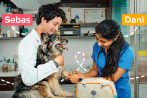 Veterinaria Global Pets