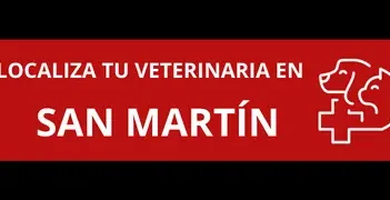 Veterinaria Huellitas Tarapoto 1 veterinaria huellitas tarapoto