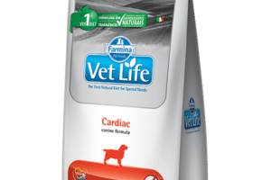 Veterinaria LifeCan