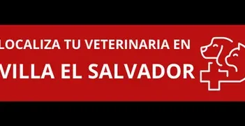 Veterinaria Lopcan ( Villa el Salvador ) 1 veterinaria lopcan villa el salvador