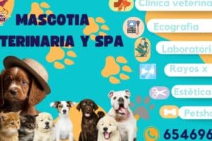Veterinaria Mascotia