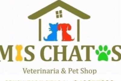 Veterinaria Mis Chatos 1 veterinaria mis chatos