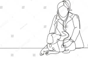 Veterinaria «One Line»